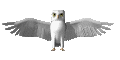 owlperched.gif (11477 bytes)
